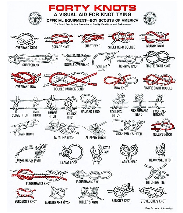 forty knots 1.jpg