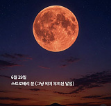이번 달..
