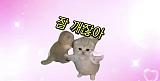 요즘 쓰..