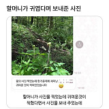 할머니..