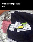 날씨가 ..