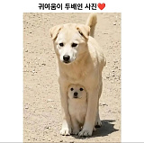 [짤/밈] ..
