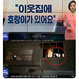 그림자 ..
