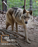 머니투..