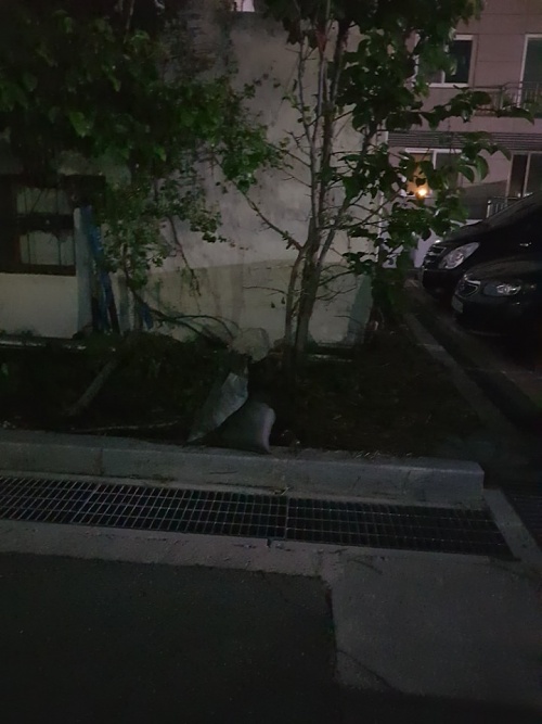 KakaoTalk_20180525_105916121.jpg