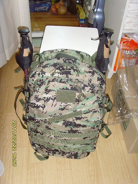 SNV30196.jpg