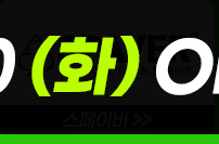스페이버